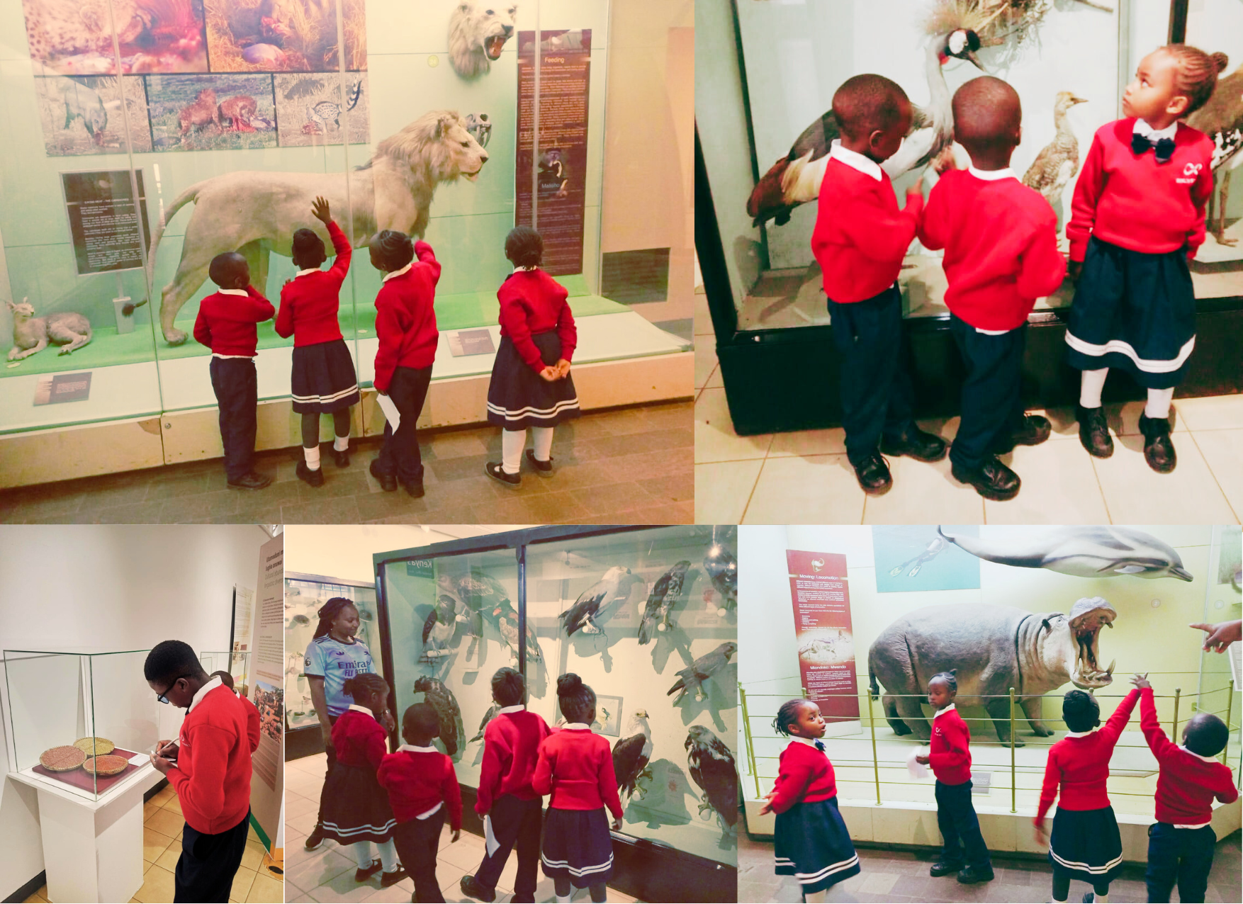 Skylon Schools Kenya museum