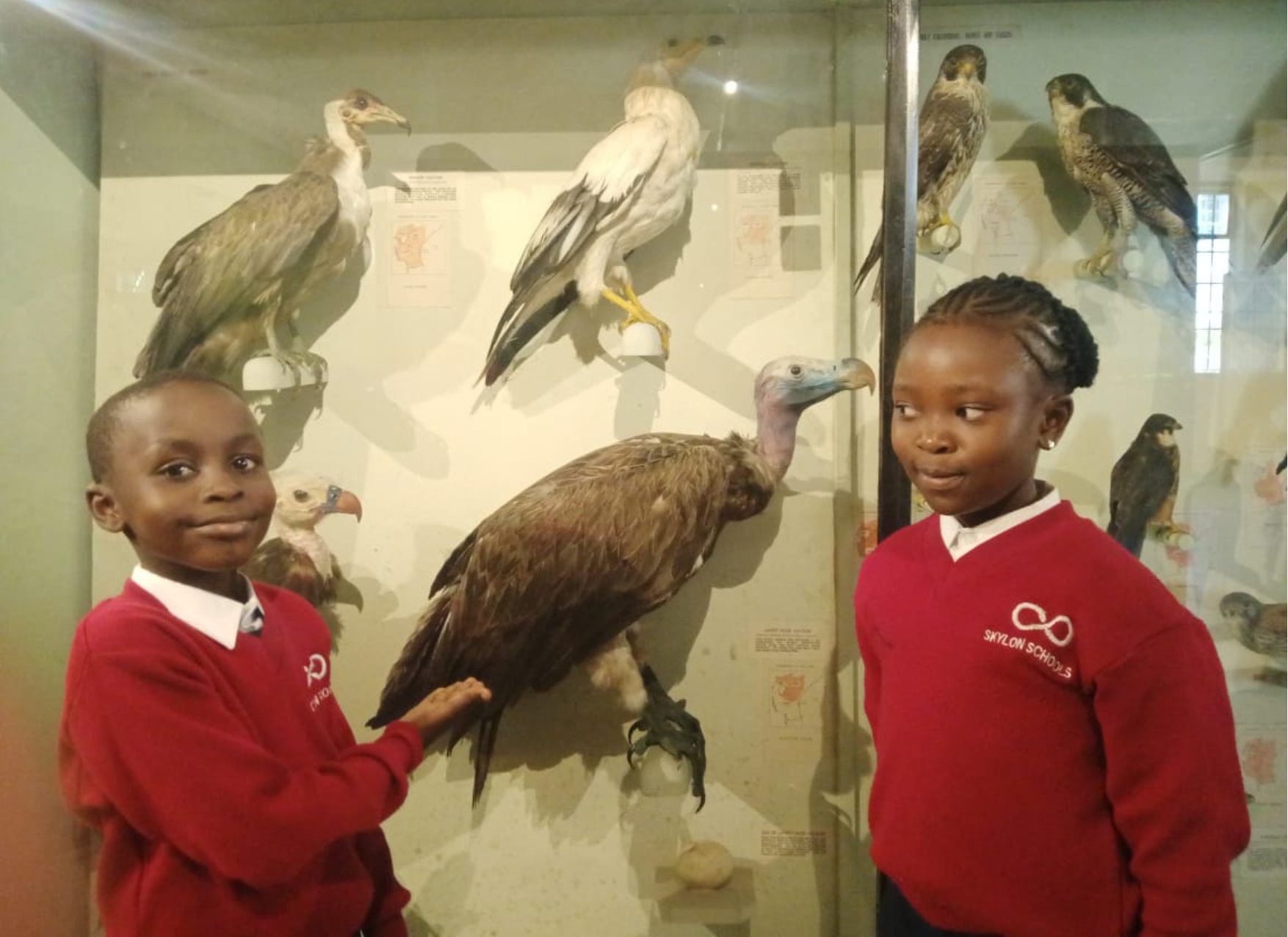 Skylon Schools Kenya - museum